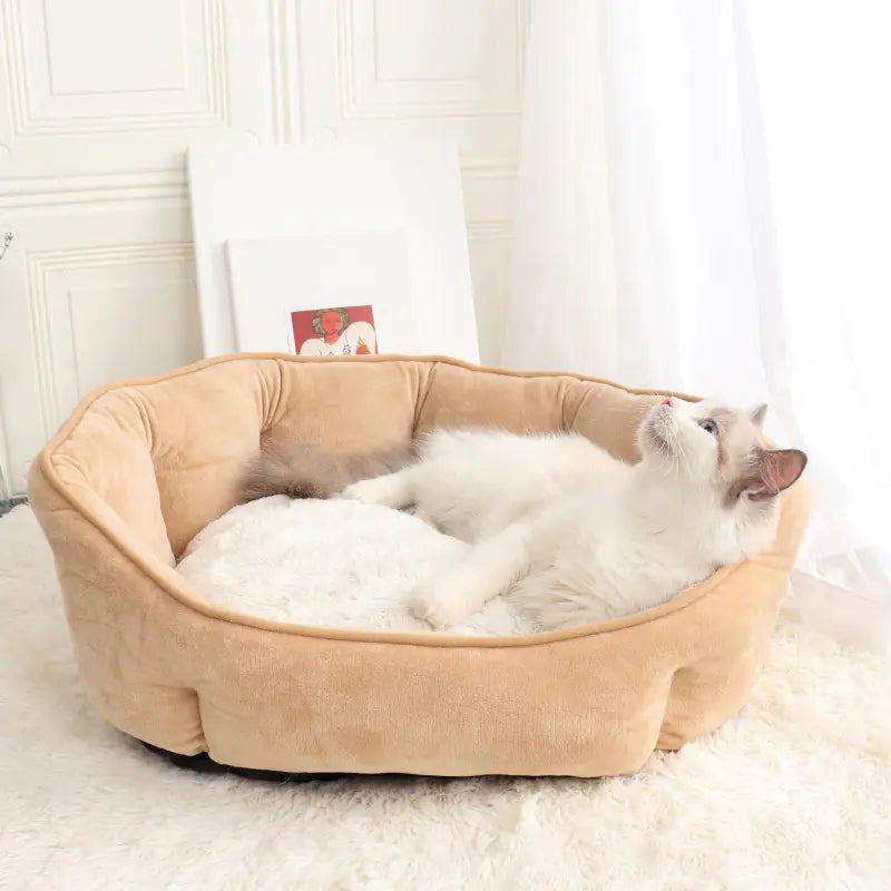 Shell-Shaped Pet Bed for Dogs and Cats