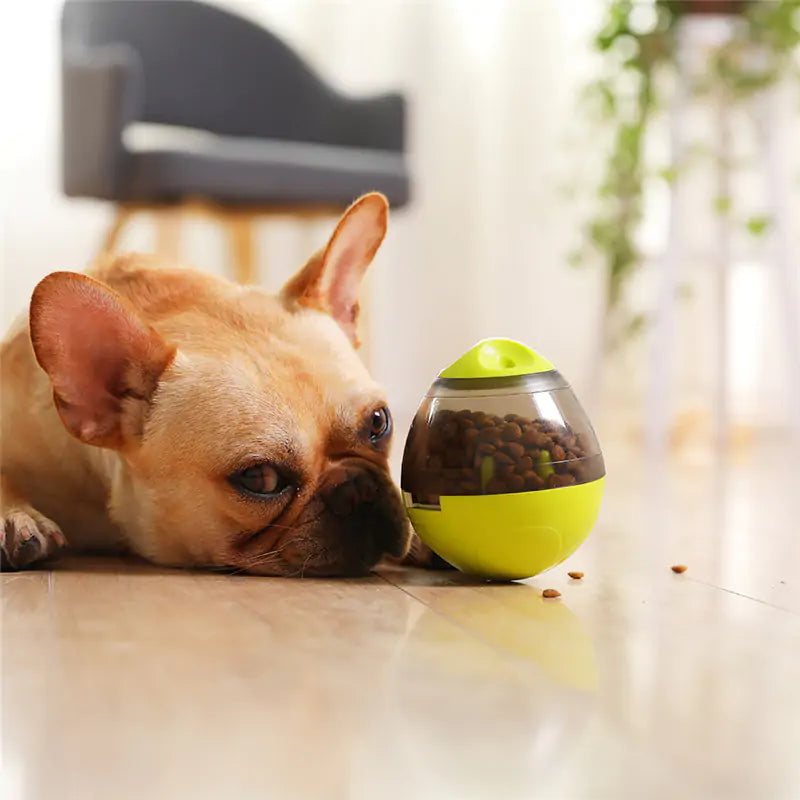 Smart Pet Challenge Toys