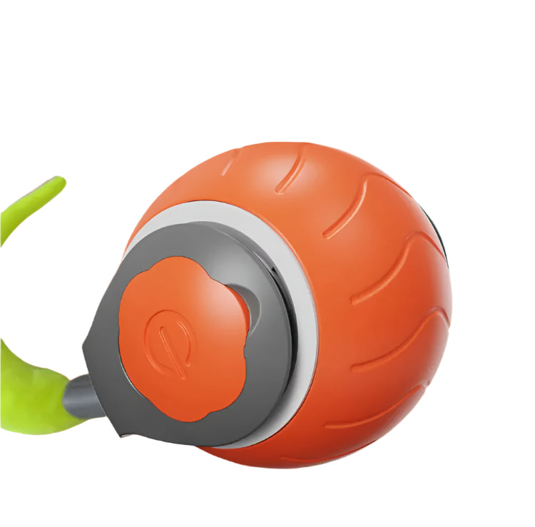 Pet Ball Toy