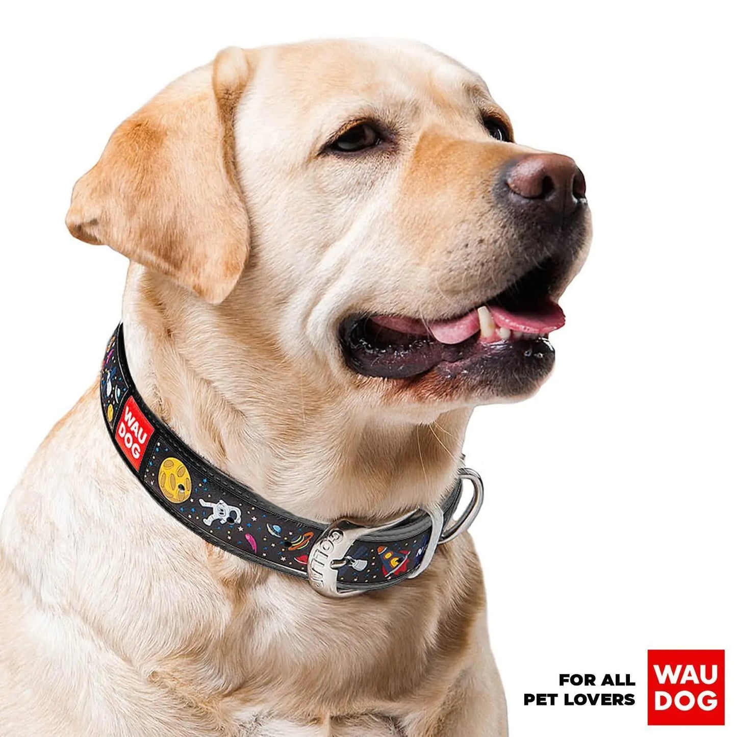 NASA Leather Dog Collar for X-Small Dogs