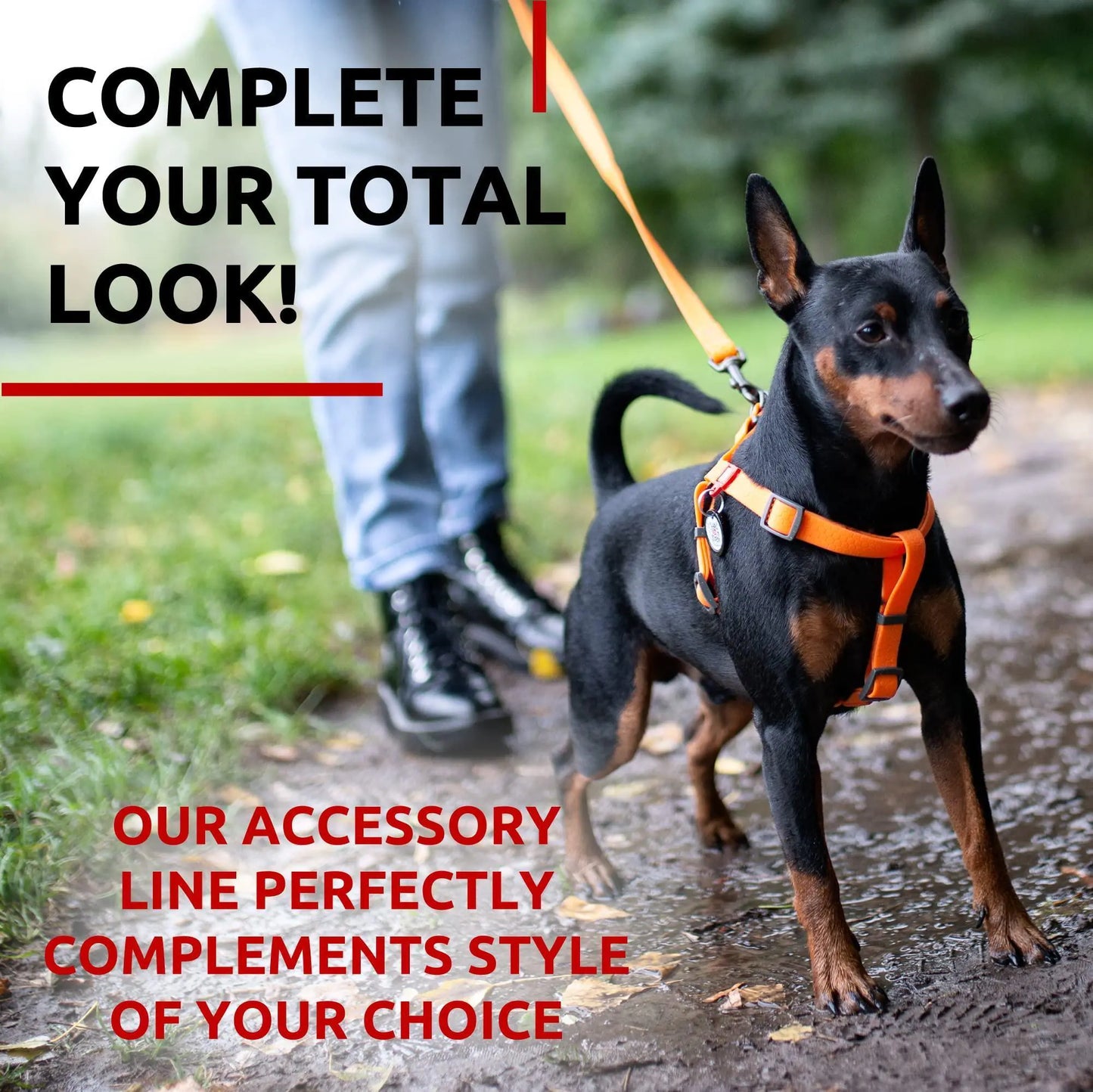 Heavy Duty Anti Slip Waterproof Dog Leash