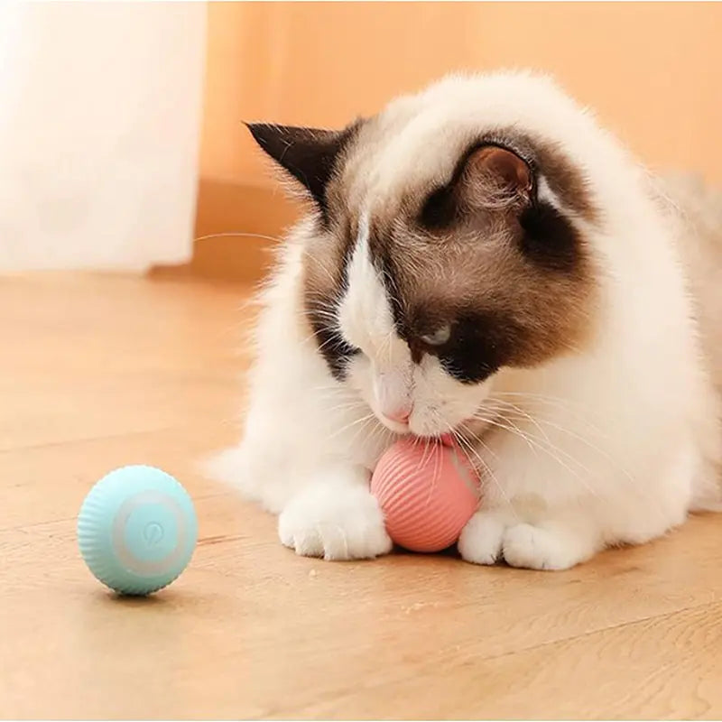 Smart Ball Toys for Pets