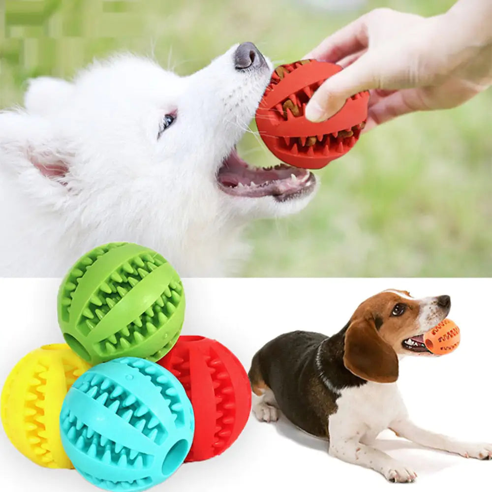 Playful Pals Rubber Balls