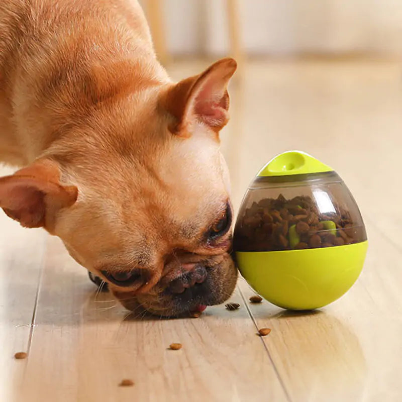 Smart Pet Challenge Toys