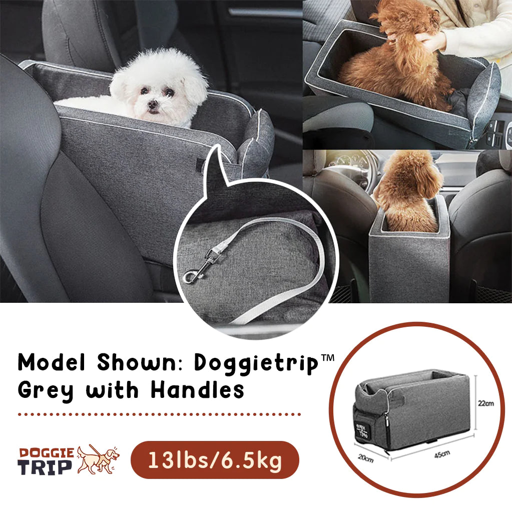 PetSafe Travel Buddy