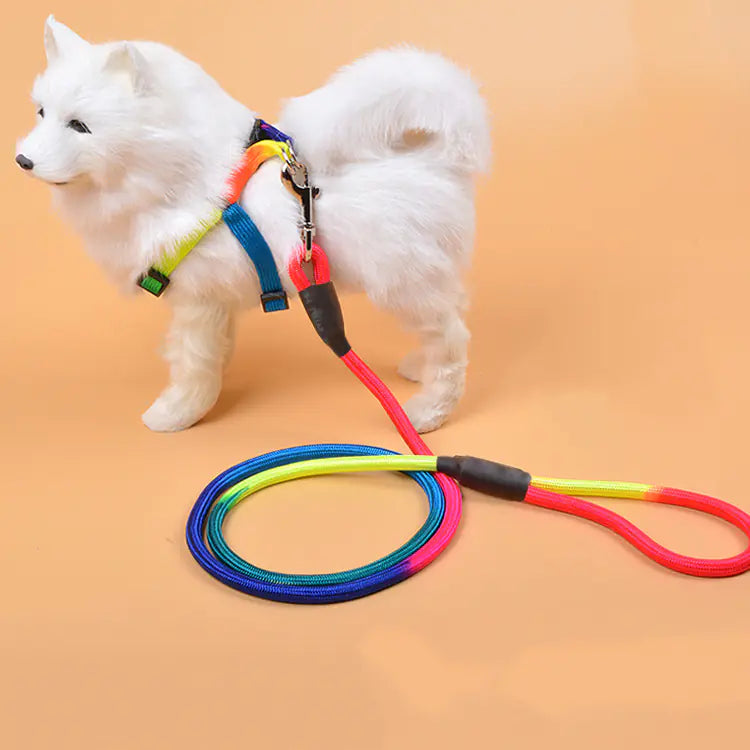 Colorful Nylon Round Hand Holding Dog Rope
