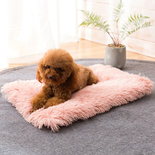 Square Pet Bed for Small, Medium, Large Dogs and Cats