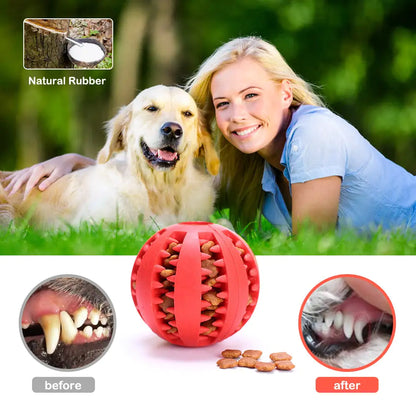 Playful Pals Rubber Balls