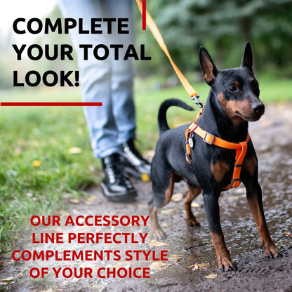 Heavy Duty Anti Slip Waterproof Dog Leash