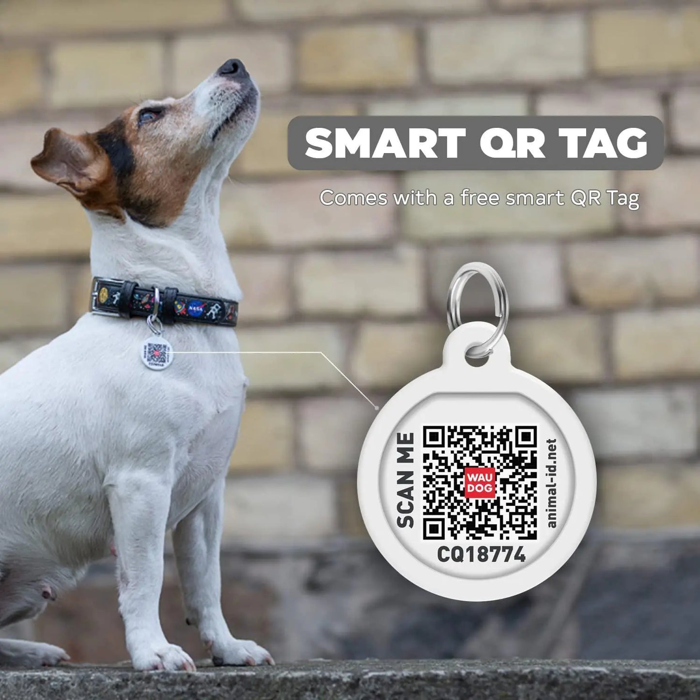 NASA Leather Dog Collar for X-Small Dogs