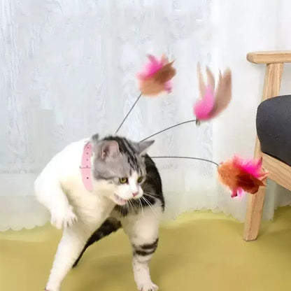Kitten Playing Teaser Wand