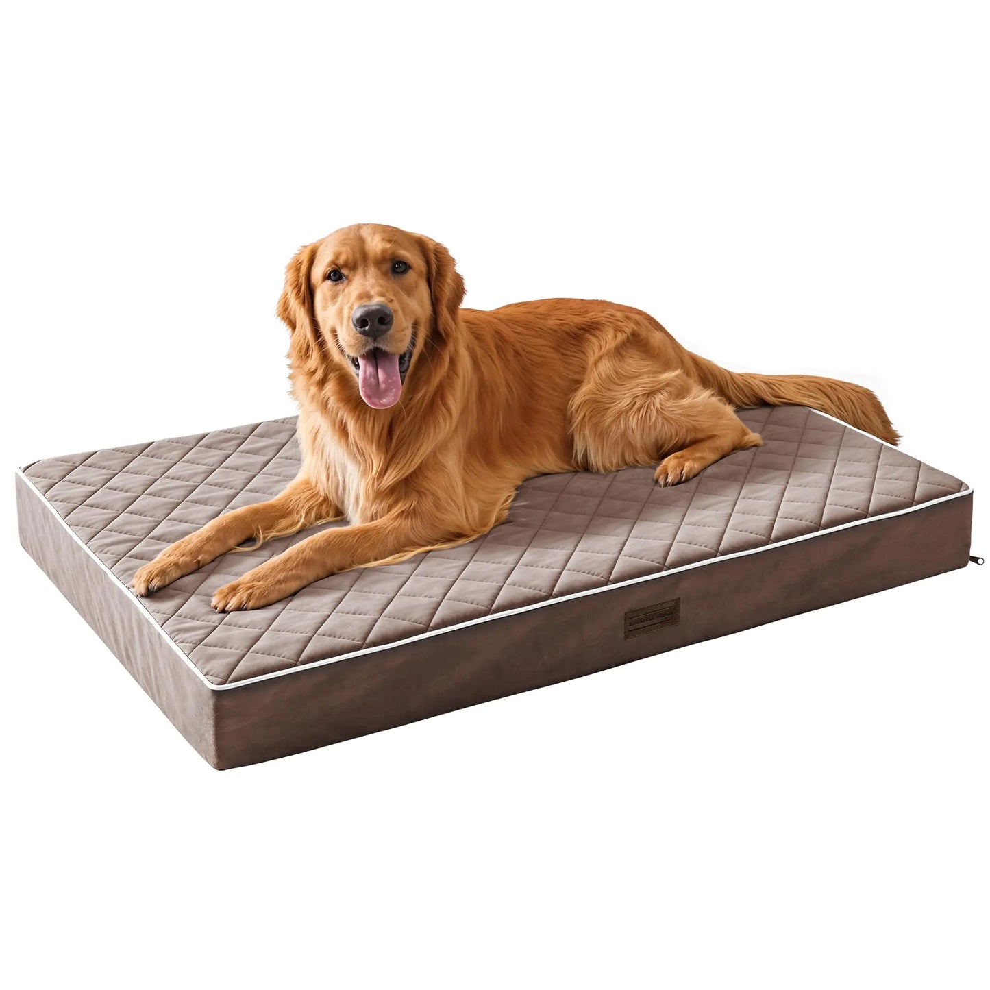 Home Orthopedic Dog Beds for XX-Large Dogs