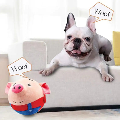 Interactive Pet Play Ball