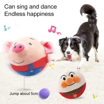 Interactive Pet Play Ball