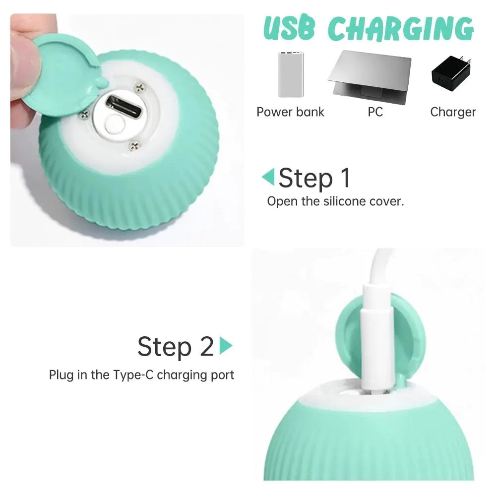 Smart Ball Toys for Pets
