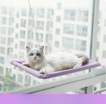Floating Cat Haven Set