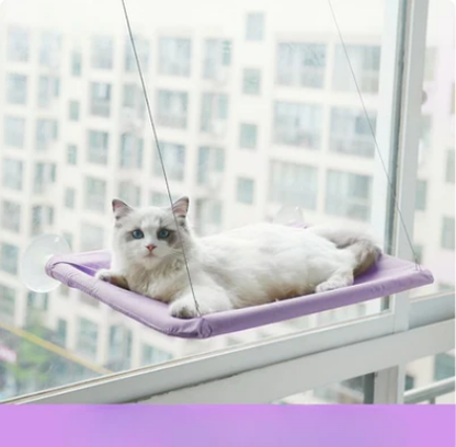 Floating Cat Haven Set