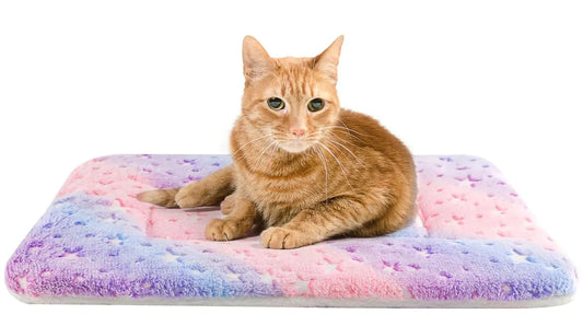 Tierecare 2 Pack Cat Blanket