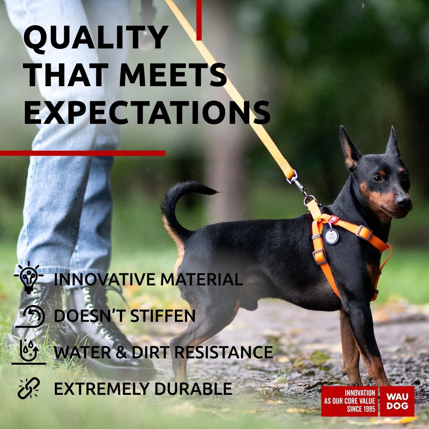 Heavy Duty Anti Slip Waterproof Dog Leash
