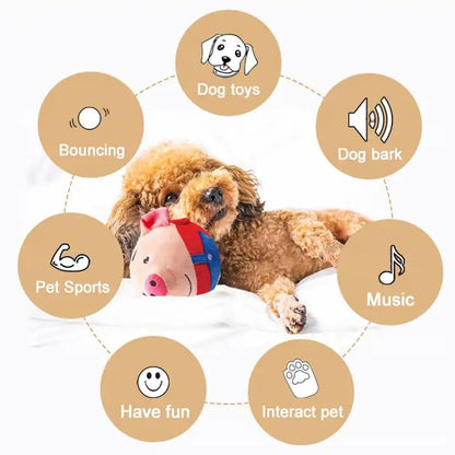 Interactive Pet Play Ball