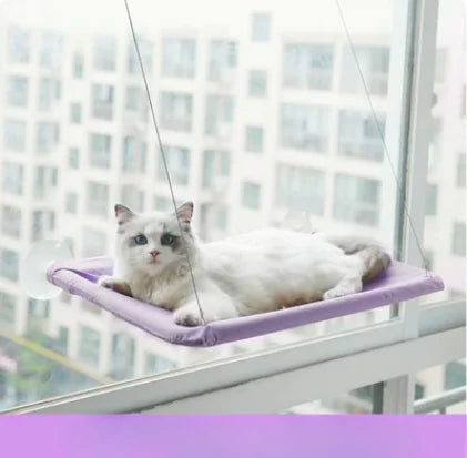 Floating Cat Haven Set