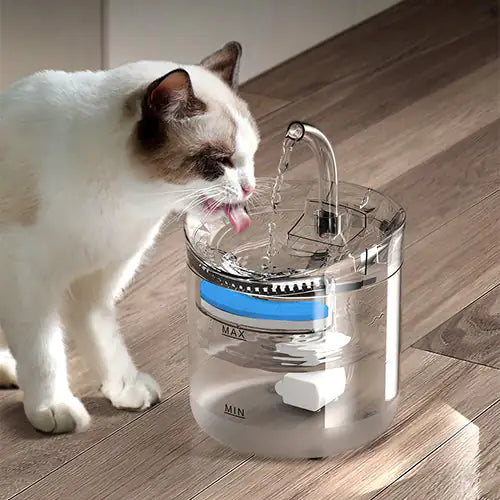 Auto Drinking Filter for Pets