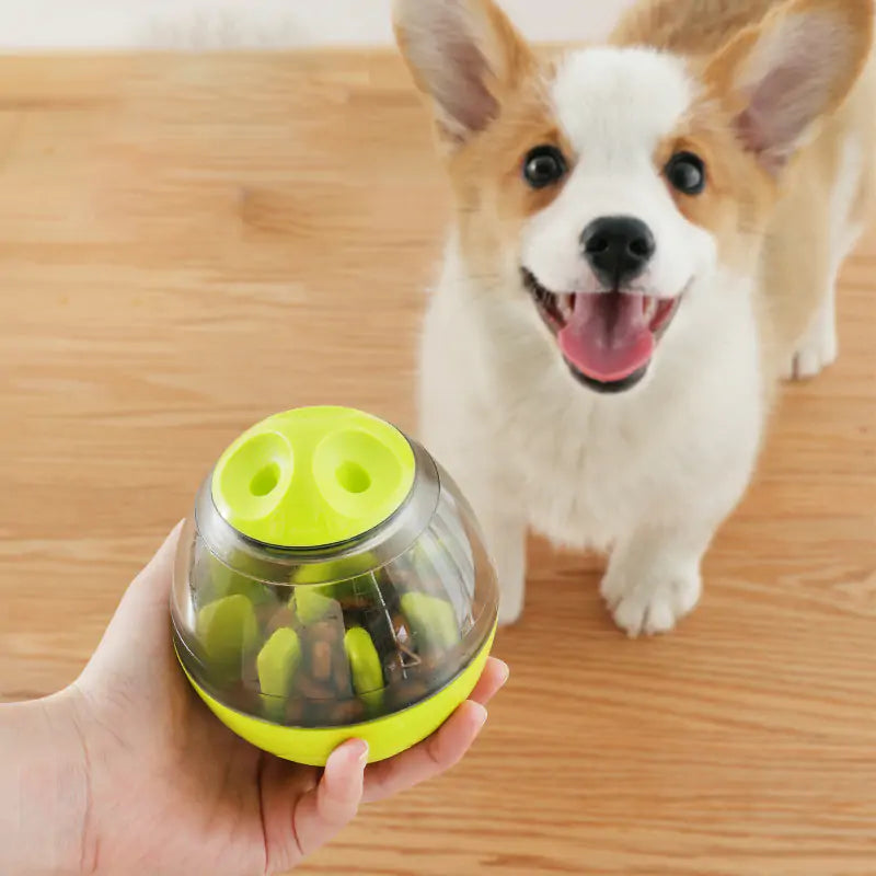 Smart Pet Challenge Toys
