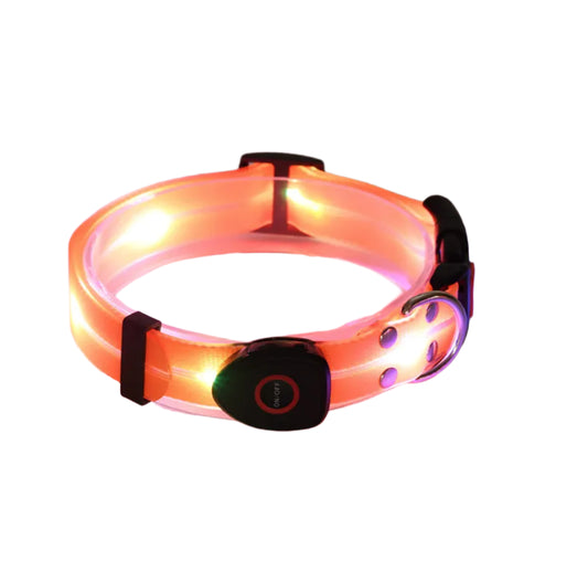 Rechargeable LED Pet Collar with Nylon Leash