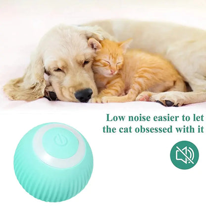 Smart Ball Toys for Pets