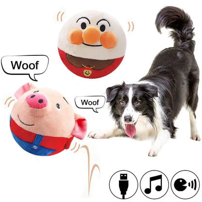 Interactive Pet Play Ball