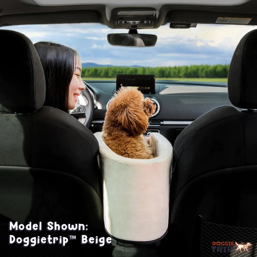 PetSafe Travel Buddy