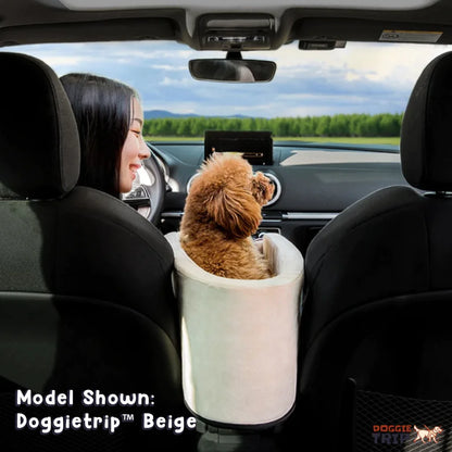 PetSafe Travel Buddy