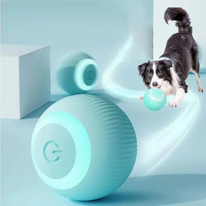 Smart Ball Toys for Pets