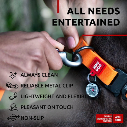 Heavy Duty Anti Slip Waterproof Dog Leash