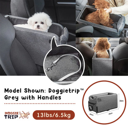 PetSafe Travel Buddy