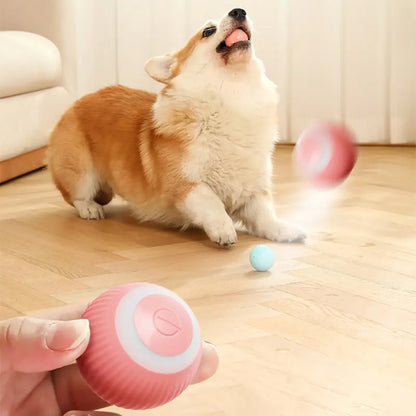 Smart Ball Toys for Pets