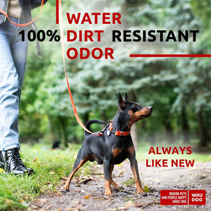 Heavy Duty Anti Slip Waterproof Dog Leash