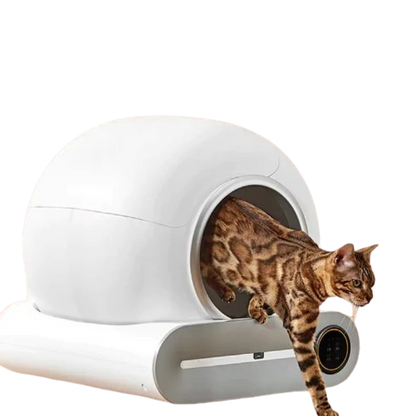 Smart Automatic Cat Litter Box