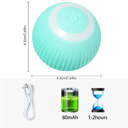 Smart Ball Toys for Pets